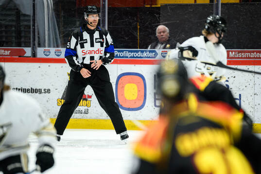 Domare Andreas Harnebring