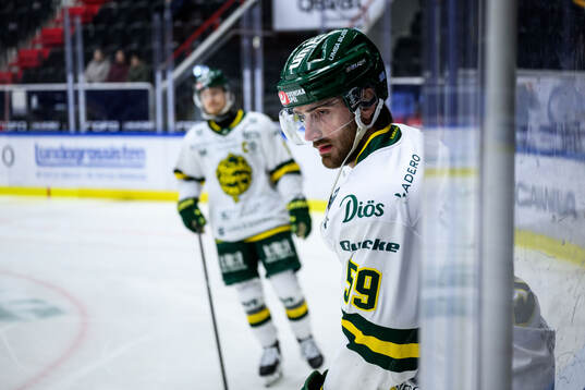 Björklövens Theoklis Theocharidis