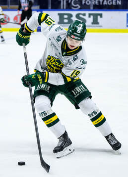 Björklövens Liam Dower Nilsson