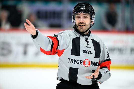 Domare Mattias Enroth