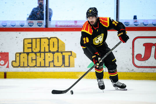Brynäs Tyler Vesel