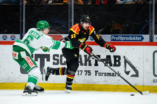 Rögles Paul Ladue och Brynäs Jack Kopacka