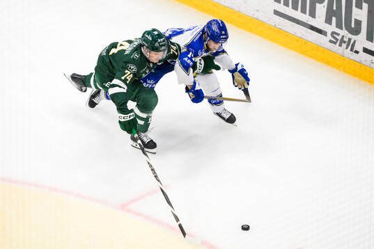 Färjestads Nick Leivermann och Leksands Oskar Lang