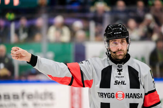 Domare Mikael Sjöqvist