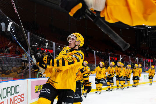 Skellefteås Pontus Johansson jublar och tackar supportrarna