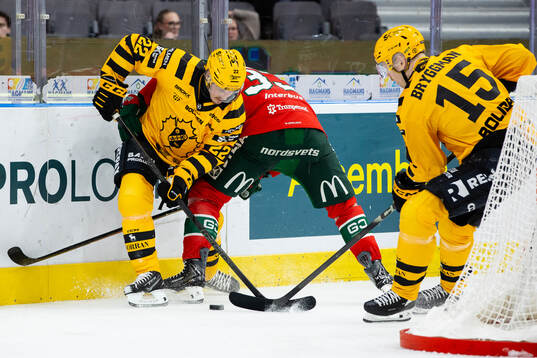 Skellefteås Jonathan Johnson och Lars Bryggman mot