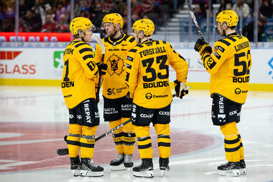 Skellefteås Theo Landström, Zeb Forsfjäll, Martin