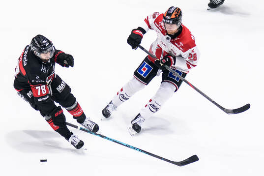 Malmö Redhawks Robin Hanzl och Örebros Linus Arnesson