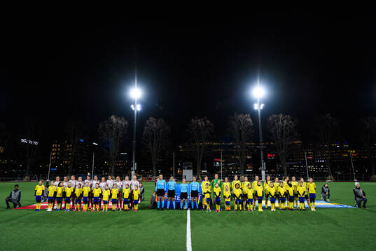 Danmarks och Sveriges spelare vid lineup