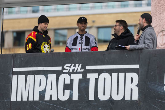 Brynäs Linus Ölund, domare Andreas Harnebring och Brynäs