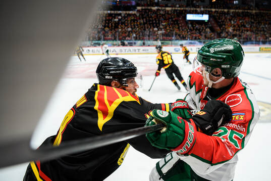 Brynäs Anton Rödin och Frölundas Arttu Ruotsalainen