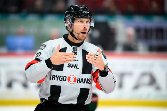 Domare Andreas Harnebring