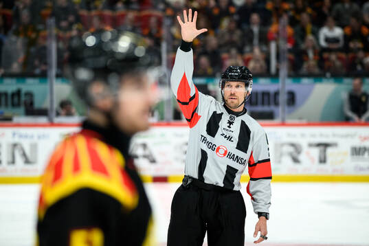 Domare Andreas Harnebring