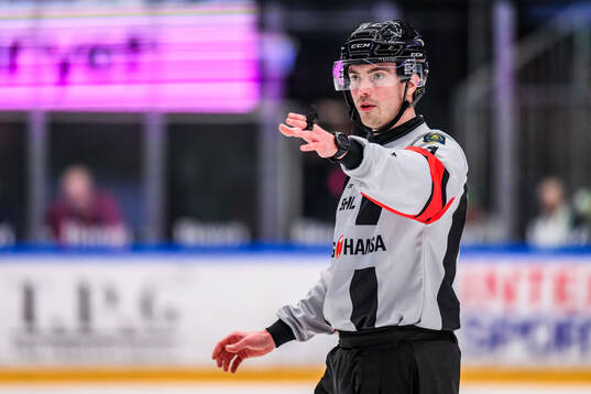 Domare Filip Eriksson