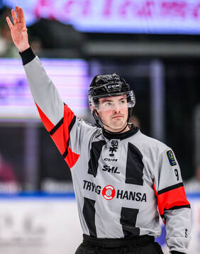 Domare Filip Eriksson