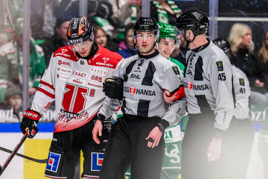 Domare Filip Eriksson