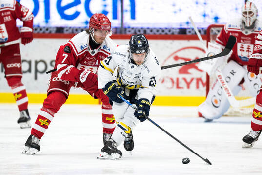Timrås Marcus Hardegård och HV71s Mattias Tedenby