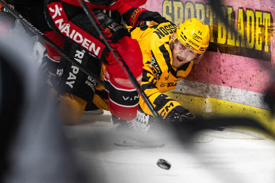 Skellefteås Jonathan Davidsson