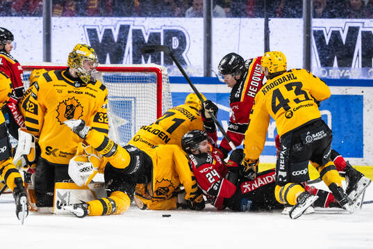 Skellefteås målvakt Linus Söderström och Luleås