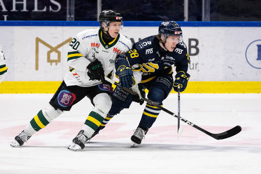 Östersunds Carl Holmner-Härgestam och Södertäljes Adam