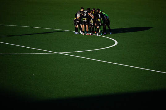 Häckens spelare samlade