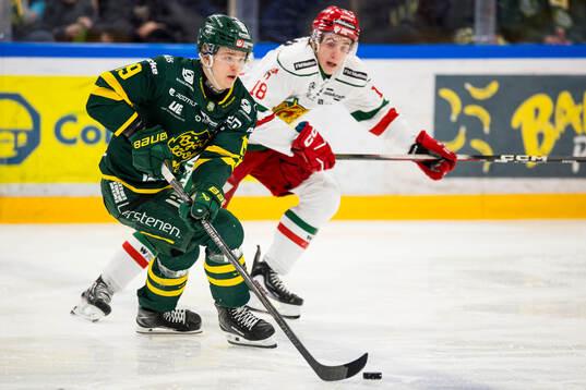 Björklövens Liam Dower Nilsson