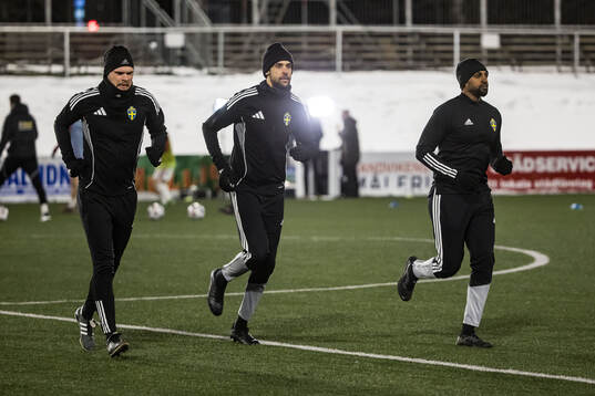 Domare Farouk Nehdi och assisterande domare Daniel Yng och