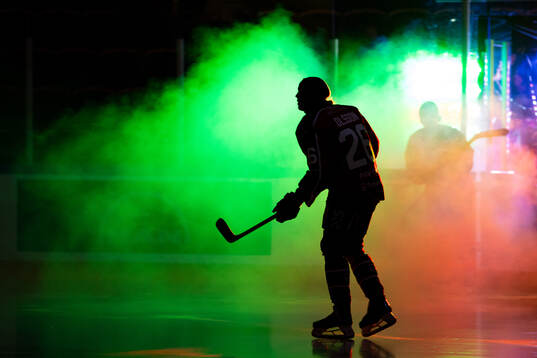 Frölundas Emilia Vesa