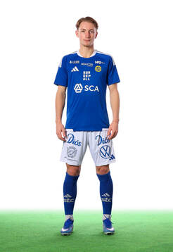 Sundsvalls Hugo Aviander