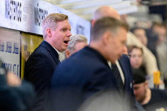 HV71s tränare Anton Blomqvist