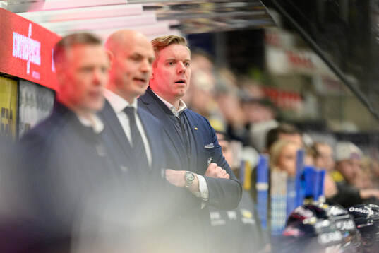 HV71s tränare Anton Blomqvist