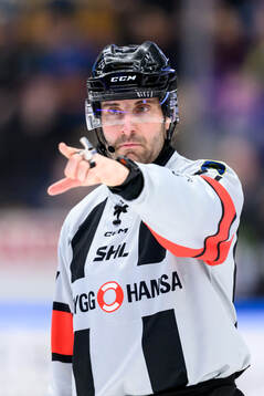 Domare Mikael Sjöqvist