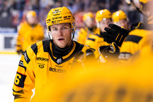 Skellefteås Rickard Hugg jublar