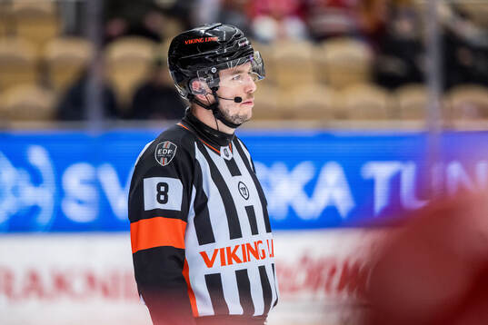 Domare Oscar Niklasson