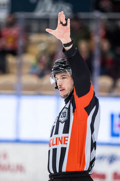 Domare Oscar Niklasson