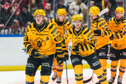 Skellefteås Rickard Hugg jublar