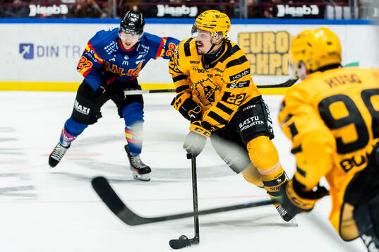 Skellefteås Jonathan Johnson och Malmö Redhawks Janne