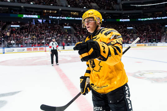 Skellefteås Rickard Hugg jublar