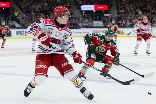 Timrås Alfons Freij