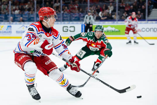 Timrås Alfons Freij