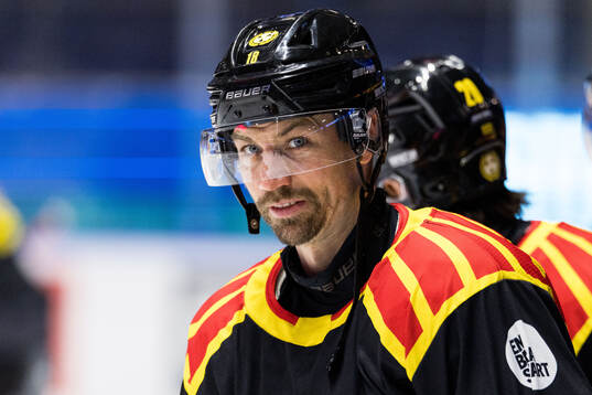 Brynäs Anton Rödin