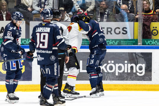 Brynäs Anton Rödin och Linköpings Christoffer Ehn