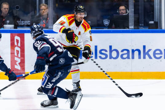 Brynäs Anton Rödin