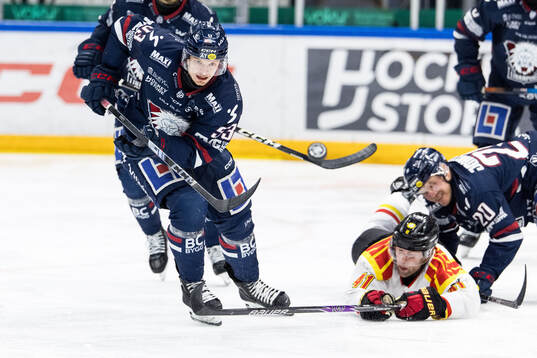 Linköpings Adam Hofbauer och Brynäs Greg Scott