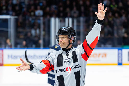 Domare Tobias Björk