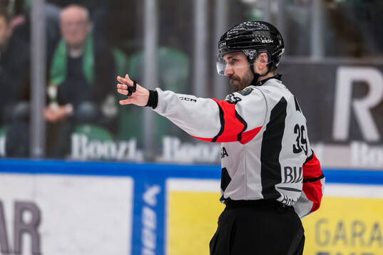 Domare Andreas Harnebring dömer godkänt mål