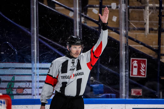 Domare Linus Öhlund