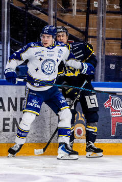 Leksands Alexander Lundqvist och HV71s Jonathan Ang