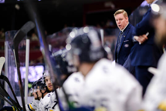 HV71s tränare Anton Blomqvist