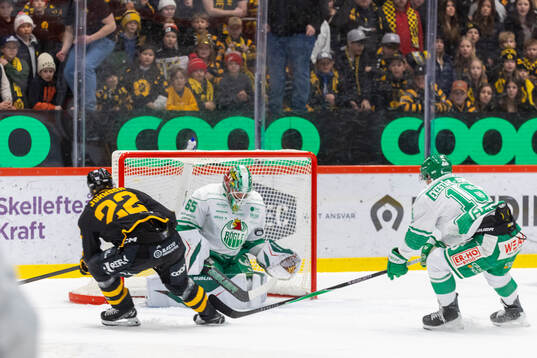Rögles målvakt Christoffer Rifalk och Skellefteås